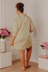 Everyday Icon Stripe Shirt Dress in Lime Punch Curves